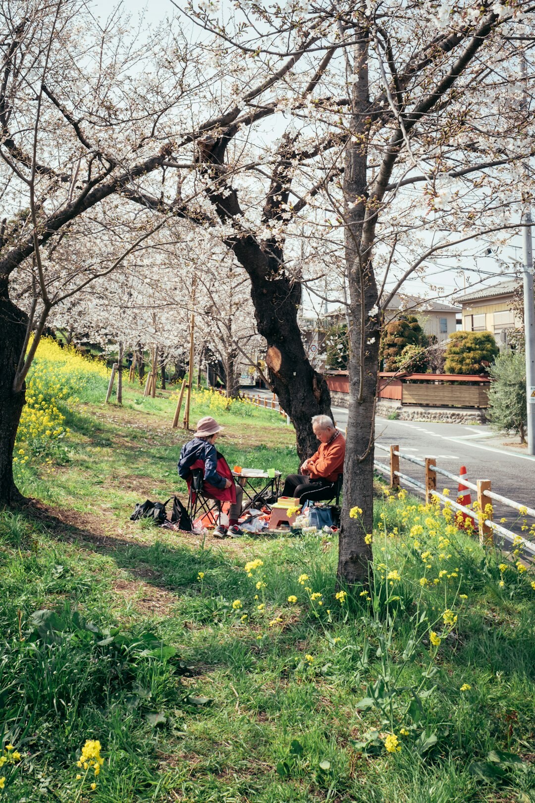 Elderly Japanese friends laughing together outdoors in a park